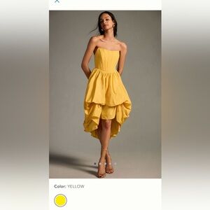 Anthropologie dress- unworn